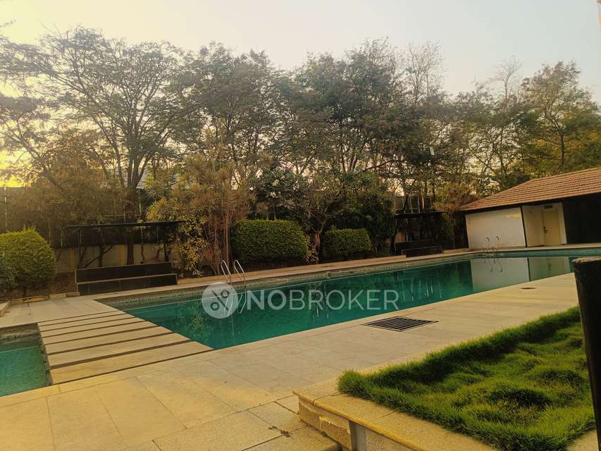 3 BHK Flat In Oceanus Ebony for Rent  In Bellandur