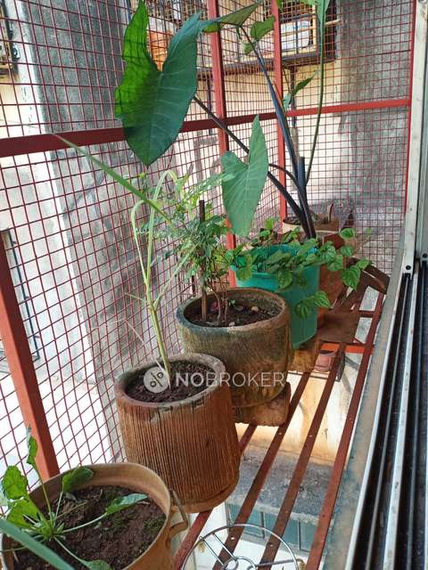 1 BHK Flat In Ganesh Krupa, Kothrud for Rent  In Kothrud 