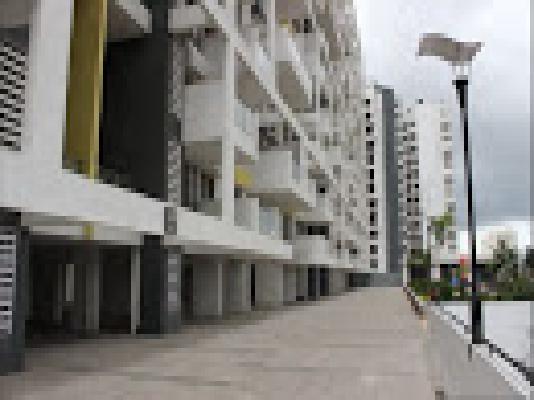 3 BHK Flat In Pristine Prolife for Rent  In Wakad