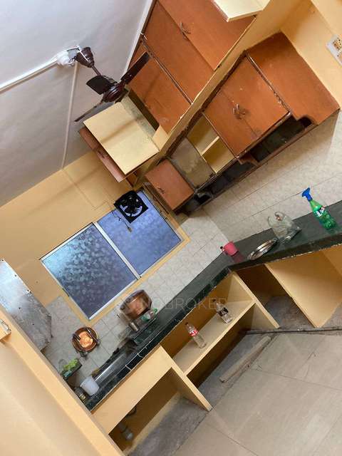 1 BHK Flat In Om Datta Krupa Society  for Rent  In Pimpri Colony