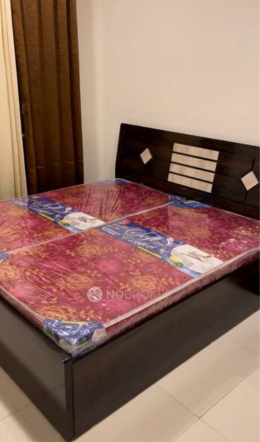 2 BHK Flat In Godrej 24 for Rent  In Hinjewadi