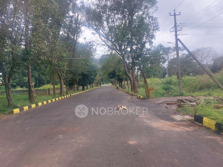 Plot For Sale  In Divya Jyothi Green Acres In Lingapura