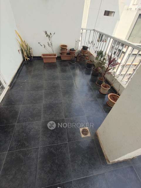 3 BHK Flat In Park Marina for Rent  In Baner