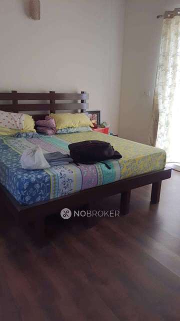 3 BHK Flat In Ace Golfshire for Rent  In Sector 150