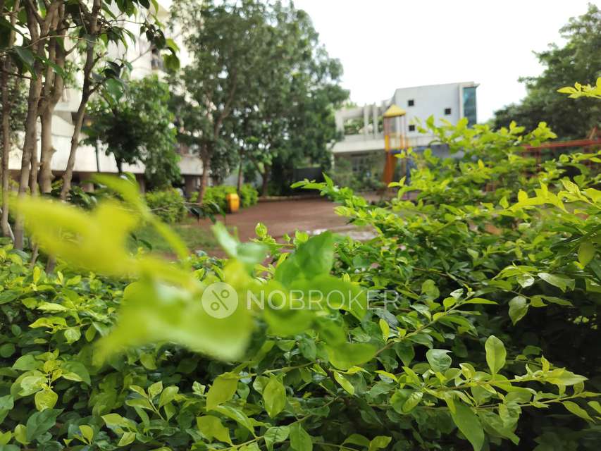 1 BHK Flat In Acme Selene For Sale  In Kondhwa Budruk