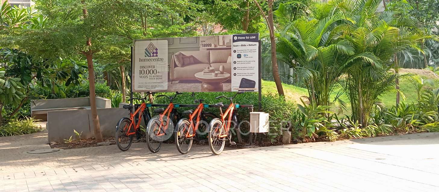 1 BHK Flat In Shapoorji Pallonji  for Rent  In  Hinjewadi