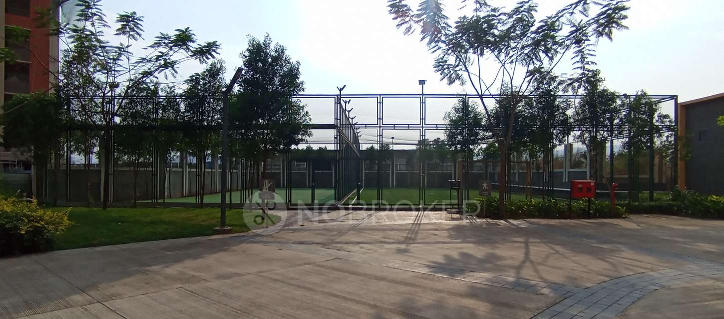 1 BHK Flat In Shapoorji Pallonji  for Rent  In  Hinjewadi