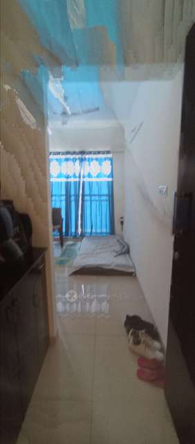1 BHK Flat In Shapoorji Pallonji  for Rent  In  Hinjewadi
