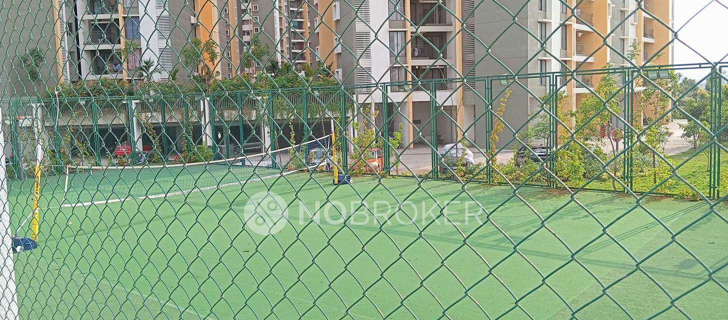 1 BHK Flat In Shapoorji Pallonji  for Rent  In  Hinjewadi