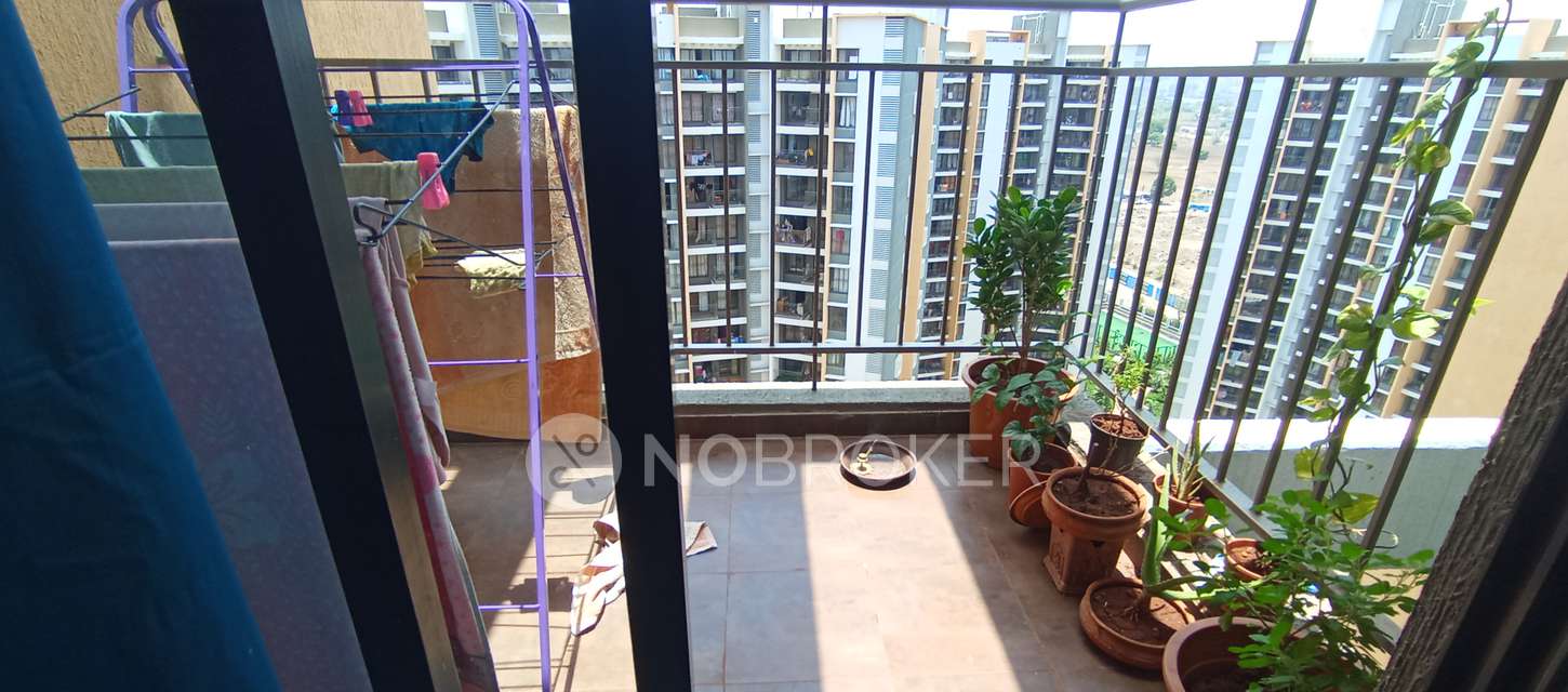 1 BHK Flat In Shapoorji Pallonji  for Rent  In  Hinjewadi