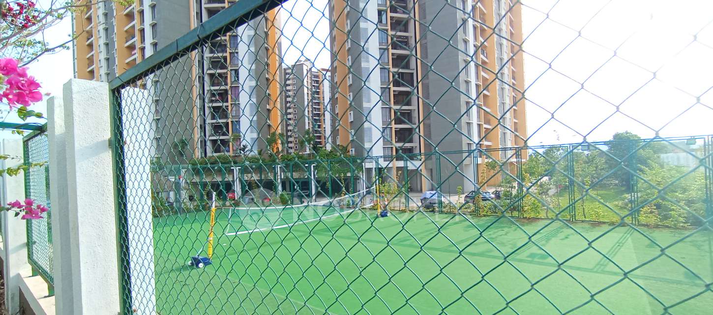 1 BHK Flat In Shapoorji Pallonji  for Rent  In  Hinjewadi