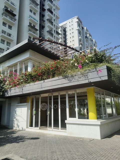 2 BHK Flat In Godrej Greens for Rent  In Undri