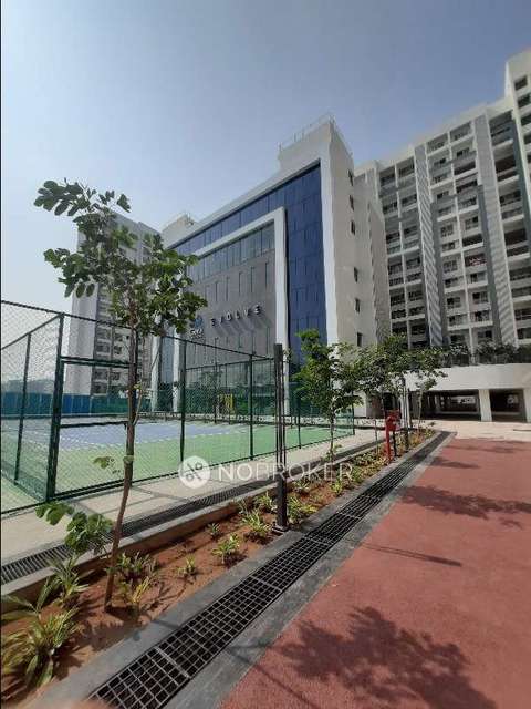 3 BHK Flat In Geras World Of Joy L, Pune for Rent  In Gera World Of Joy