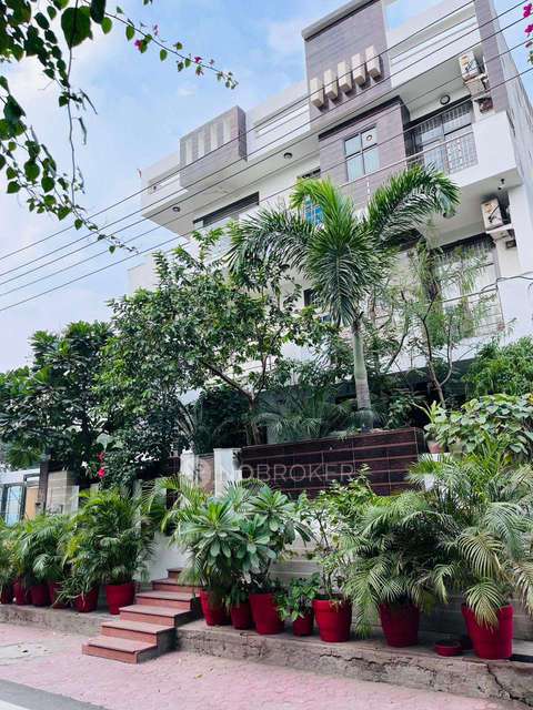 4+ BHK House For Sale  In Sector 51