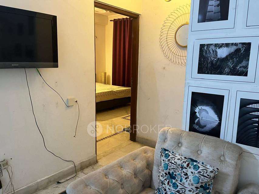 PG for Girls in Dizzy Palms