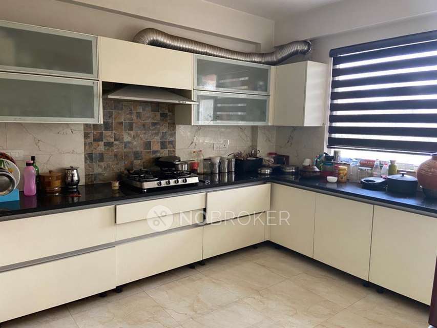 PG for Girls in Dizzy Palms