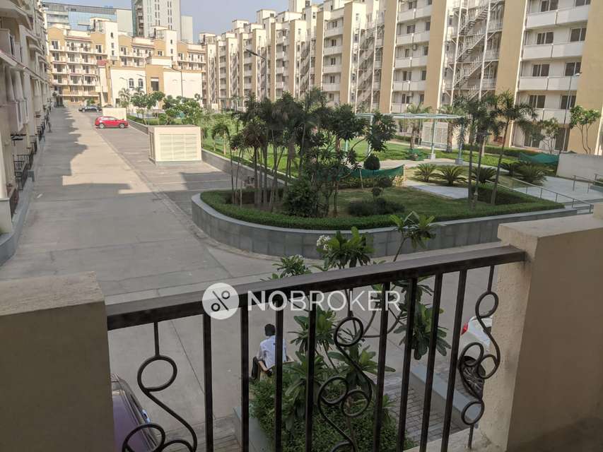 3 BHK Flat In Emaar Mgf Emerald Floors Premier for Rent  In Sector-65