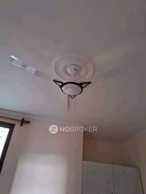 3 BHK Flat In Sb for Rent  In Sector 49