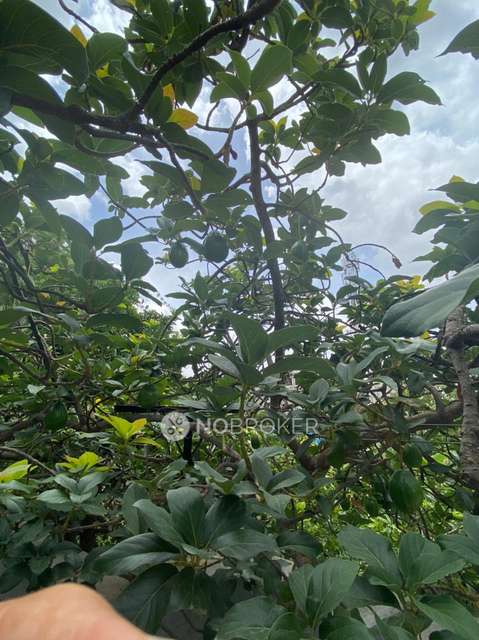 3 BHK House For Sale  In Thanisandra