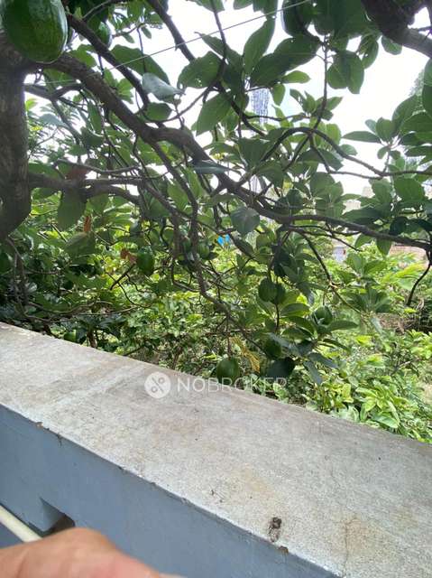 3 BHK House For Sale  In Thanisandra