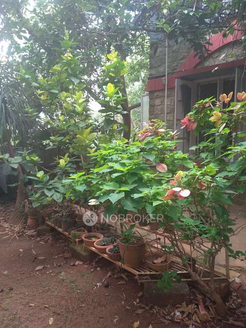 3 BHK House For Sale  In Thanisandra
