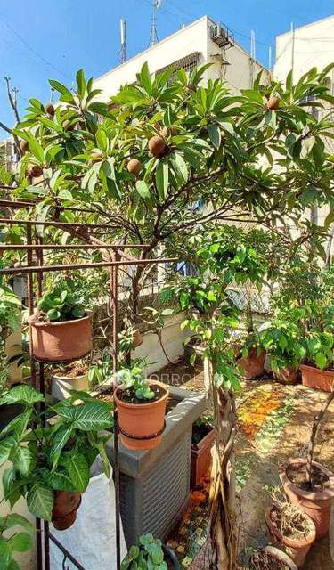 2 BHK House For Sale  In  Santacruz West