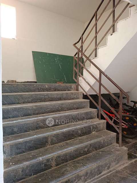 3 BHK Flat In Pivotal Paradise For Sale  In Sector 62