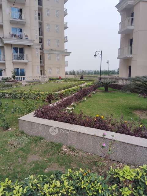 3 BHK Flat In Capital Athena For Sale  In Sector 1, Bisrakh Jalalpur Greater Noida, Uttar Pradesh India