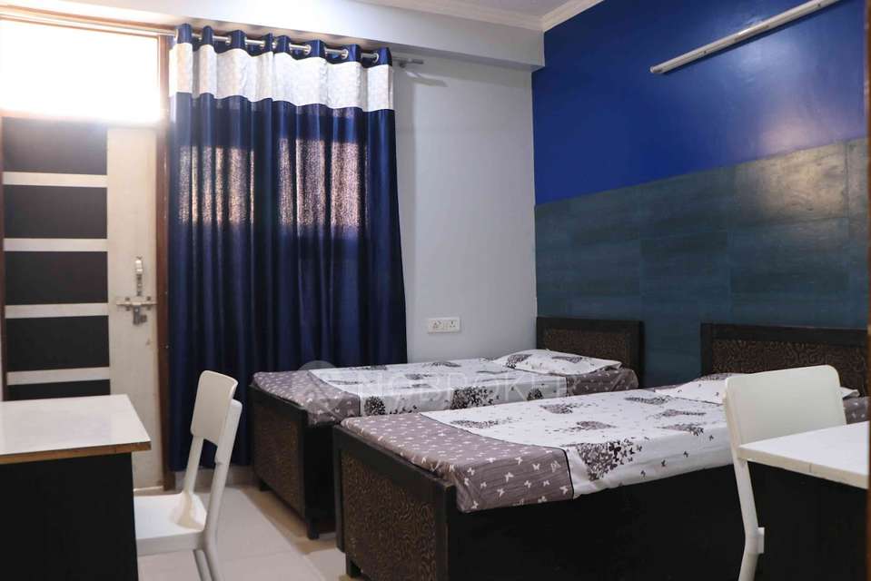 PG for Anyone in Sector 126