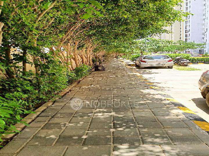 4 BHK Flat In Sare Homes For Sale  In Sector 92