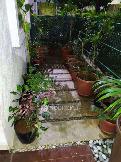 2 BHK Flat In Mana Tropicale for Rent  In Carmelaram