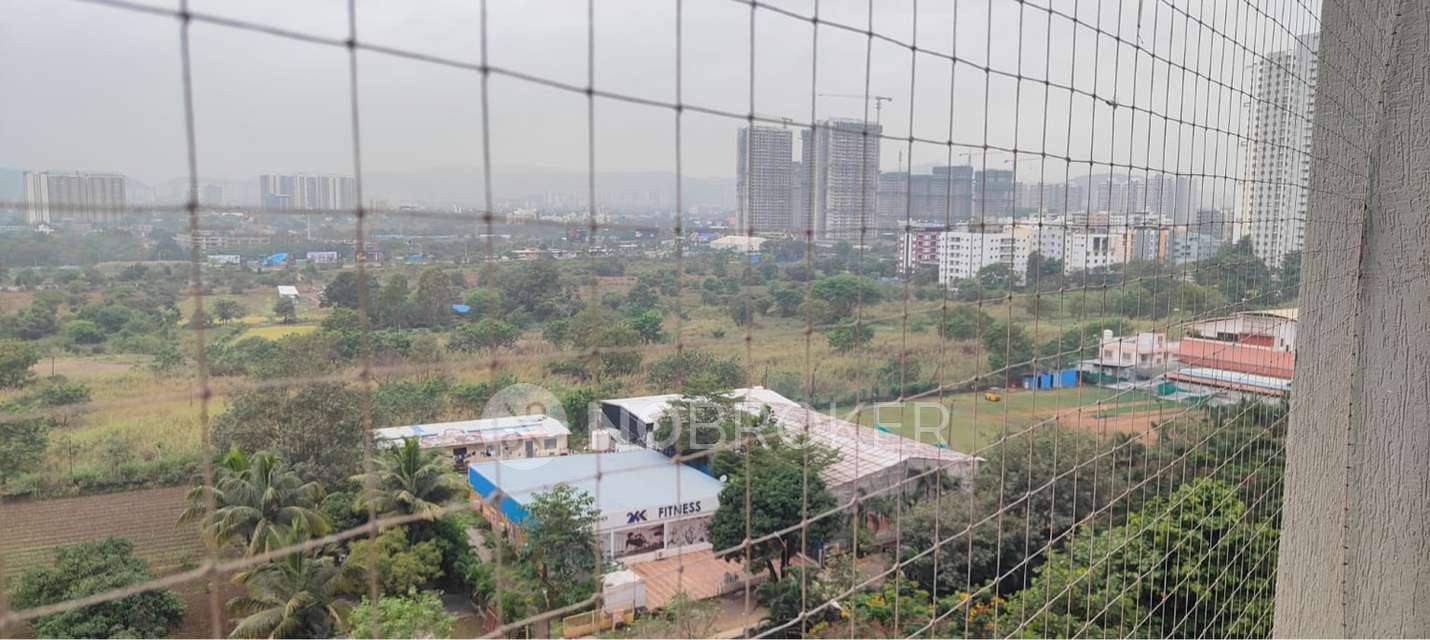 3 BHK Flat In Paranjape Blue Ridge for Rent  In Hinjewadi