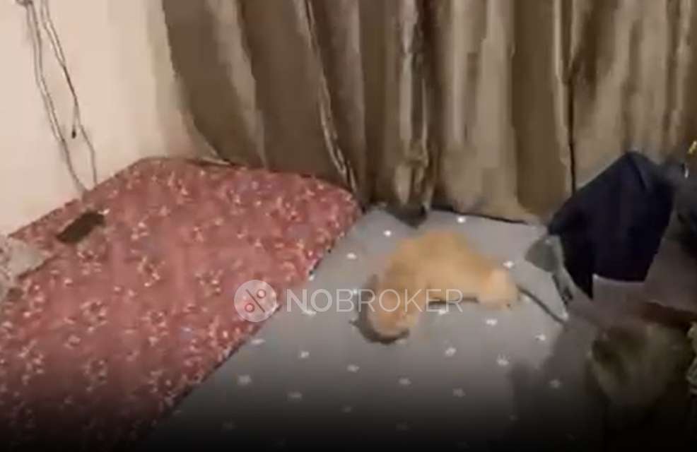 1 RK House for Rent  In Kaveri Layout