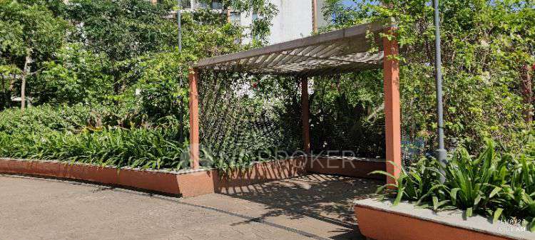 2 BHK Flat In Shapoorji Pallonji Sensorium for Rent  In Hinjewadi