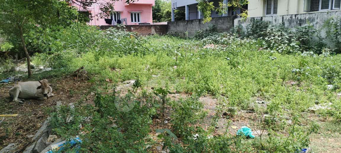 Plot For Sale  In Urapakkam
