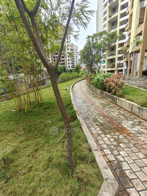 2 BHK Flat In Dynasty Society For Sale  In Wakad