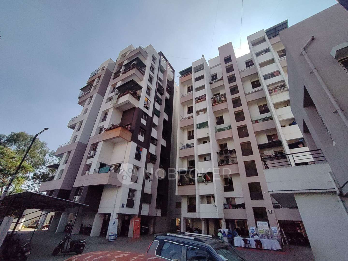 Blueberry co housong soc