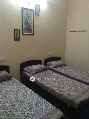 PG for Anyone in Gowlidoddy