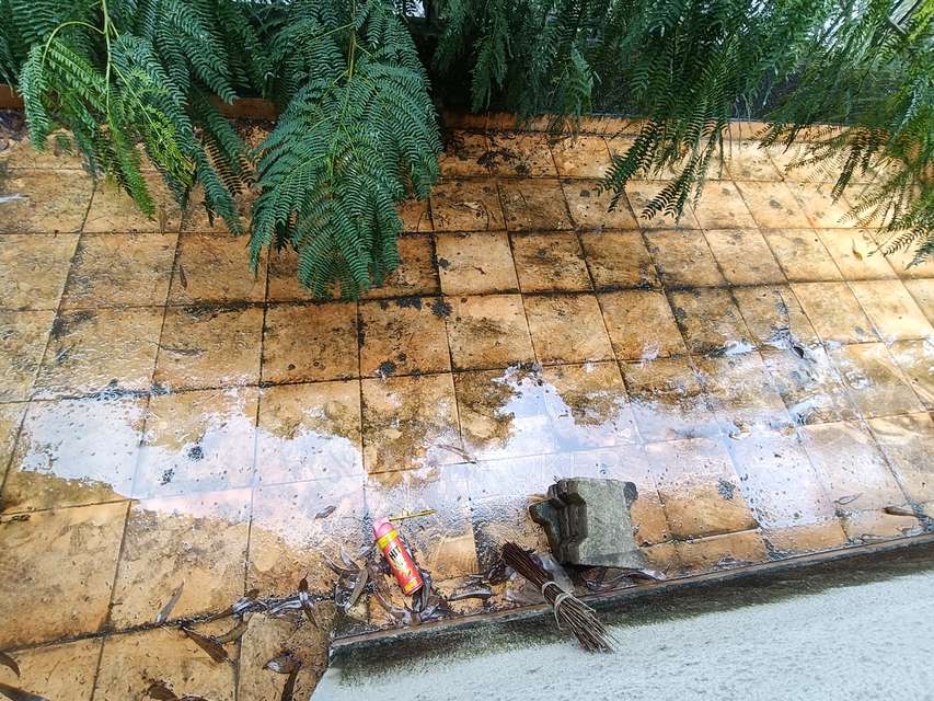 3 BHK Flat In Gracia Co Op Housing Society For Sale  In Wakad