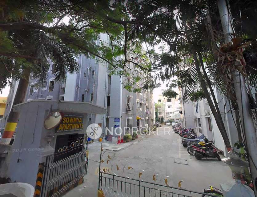 2 BHK Flat In Sowmya Apartment for Rent  In Jamalia