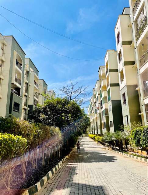 1 BHK Flat In Mahaveer Orchids for Rent  In Choodasandra