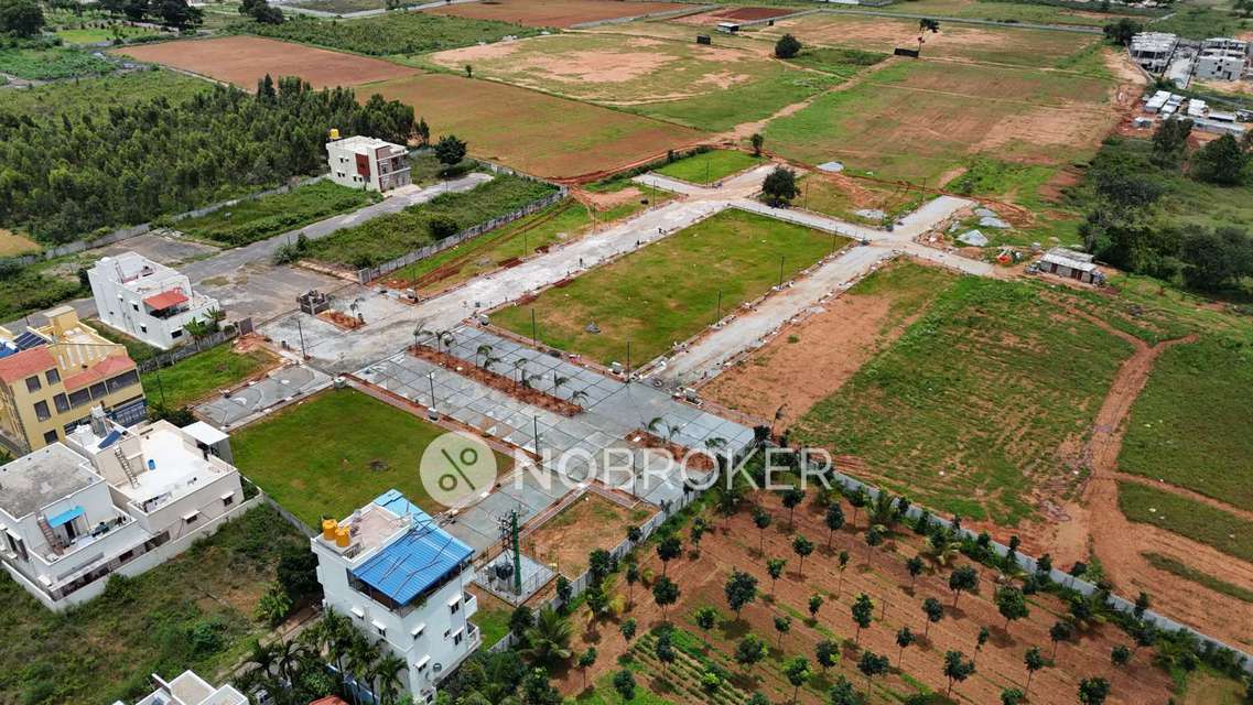 Plot For Sale  In Kodiyala