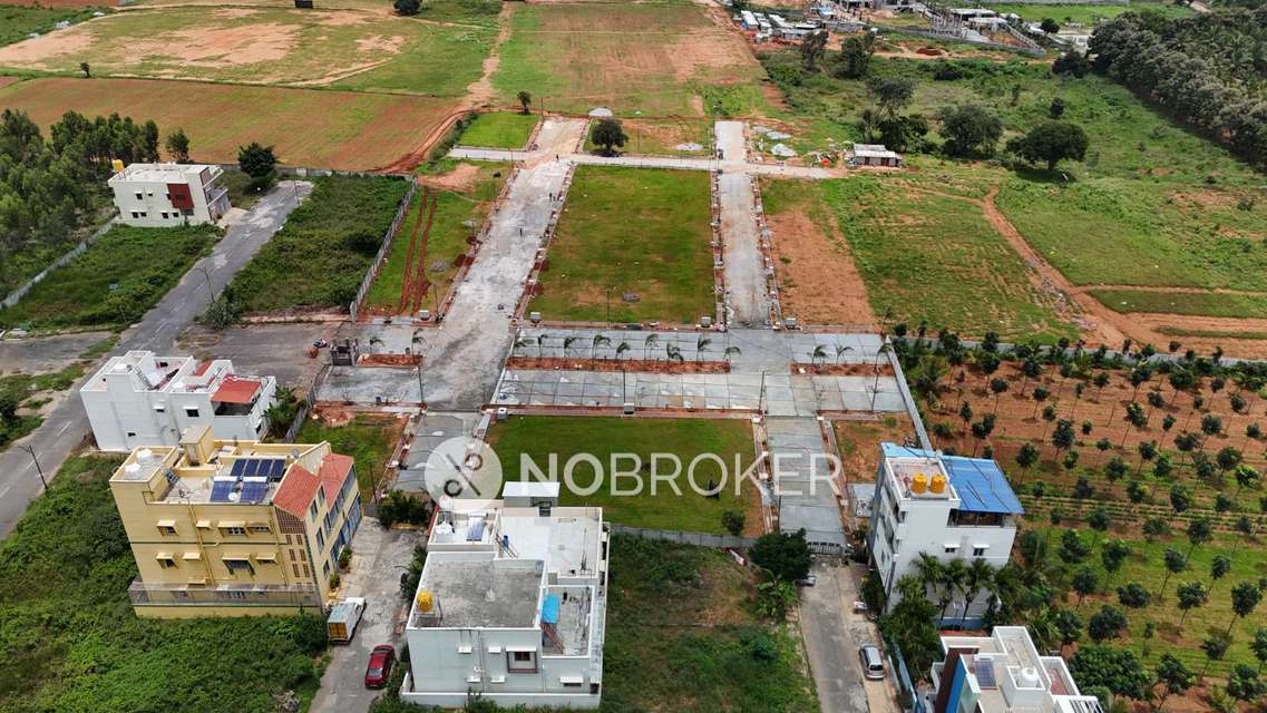 Plot For Sale  In Kodiyala