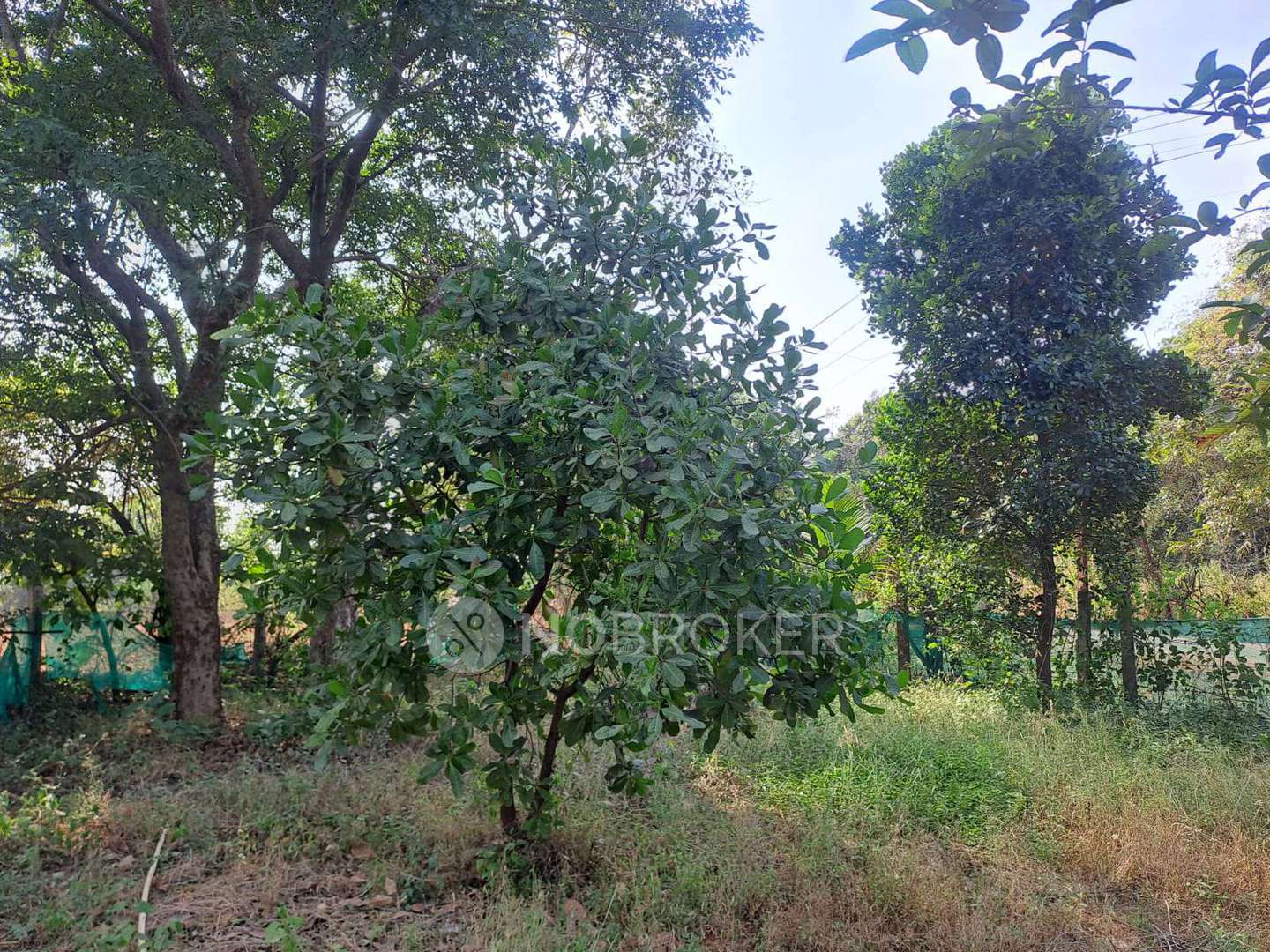 Plot For Sale  In Karjat