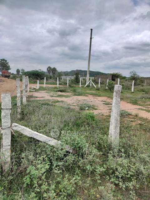 Plot For Sale  In Pasumamula
