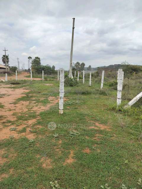 Plot For Sale  In Pasumamula