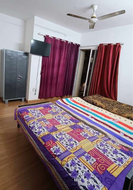 PG for Boys in Db Ozone