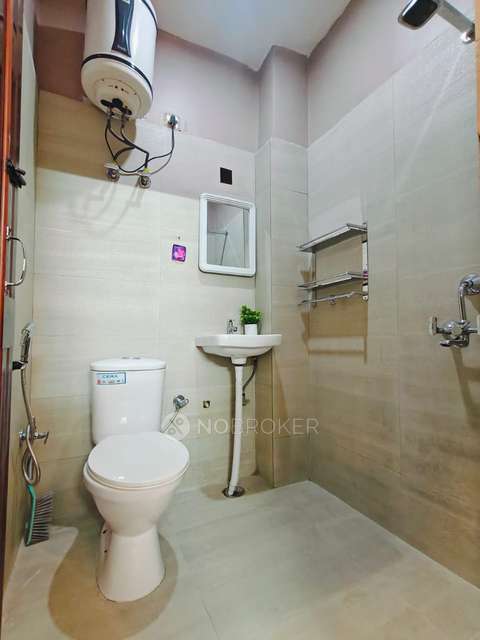 PG for Anyone in  Sector 43