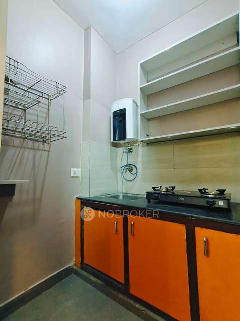 PG for Anyone in  Sector 43