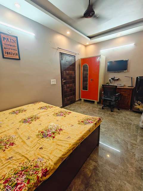 PG for Anyone in  Sector 43